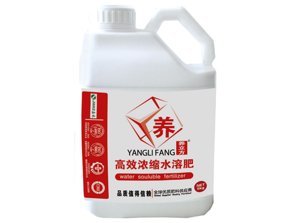 養立方5kg