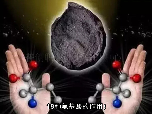 18種氨基酸的作用！