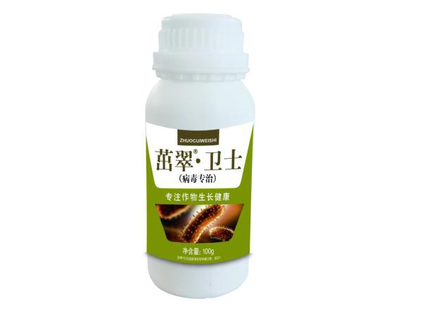 茁翠·衛士