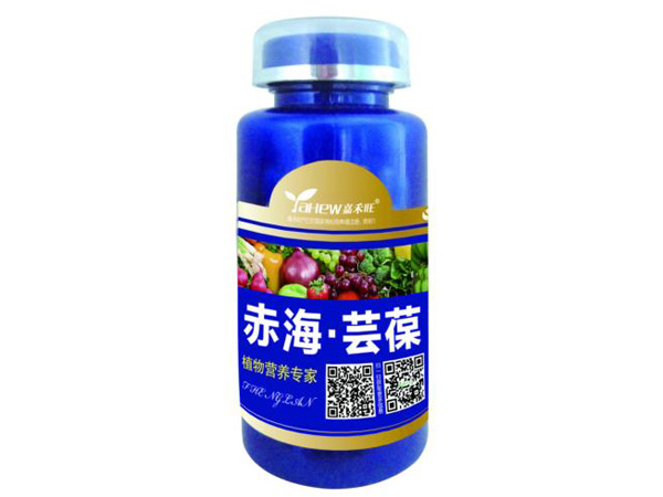 赤海·蕓葆